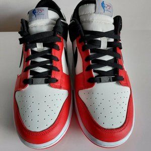 Nike Dunk Low EMB NBA 75th Anniversary Chicago